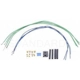 Purchase Top-Quality Blower Resistor Connector by BLUE STREAK (HYGRADE MOTOR) - S1900 pa2