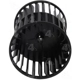 Purchase Top-Quality Blower Wheel by FOUR SEASONS - 35528 pa16
