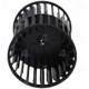 Purchase Top-Quality Blower Wheel by FOUR SEASONS - 35528 pa9