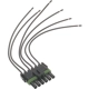 Purchase Top-Quality BLUE STREAK (HYGRADE MOTOR) - HP7380 - Body Harness Connector pa1