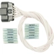 Purchase Top-Quality Body Harness Connector by BLUE STREAK (HYGRADE MOTOR) - S1278 pa1