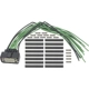 Purchase Top-Quality Body Harness Connector by BLUE STREAK (HYGRADE MOTOR) - S3051 pa1