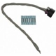 Purchase Top-Quality Connecteur de faisceau de fils de carrossrrie by BLUE STREAK (HYGRADE MOTOR) - S1010 pa24