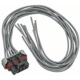 Purchase Top-Quality Body Harness Connector by BLUE STREAK (HYGRADE MOTOR) - S1207 pa50