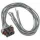 Purchase Top-Quality Body Harness Connector by BLUE STREAK (HYGRADE MOTOR) - S1207 pa56