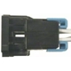 Purchase Top-Quality Body Harness Connector by BLUE STREAK (HYGRADE MOTOR) - S1231 pa14