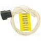 Purchase Top-Quality Body Harness Connector by BLUE STREAK (HYGRADE MOTOR) - S1309 pa2