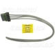 Purchase Top-Quality Connecteur de faisceau de fils de carrossrrie par BLUE STREAK (HYGRADE MOTOR) - S1352 pa11