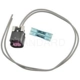 Purchase Top-Quality Connecteur de faisceau de fils de carrossrrie par BLUE STREAK (HYGRADE MOTOR) - S1717 pa2