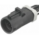 Purchase Top-Quality Body Harness Connector by BLUE STREAK (HYGRADE MOTOR) - S1756 pa26