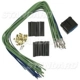 Purchase Top-Quality Body Harness Connector by BLUE STREAK (HYGRADE MOTOR) - S1960 pa28