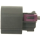 Purchase Top-Quality Body Harness Connector by STANDARD - PRO SERIES - S1445 pa2