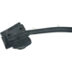 Purchase Top-Quality AUTOTECNICA - MA0817089 - Door Seal pa6