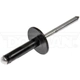 Purchase Top-Quality Body Seal Fastener by DORMAN - 963-205D pa13