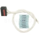 Purchase Top-Quality Body Switch Connector by BLUE STREAK (HYGRADE MOTOR) - S1499 pa6