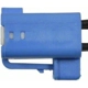 Purchase Top-Quality Body Switch Connector by BLUE STREAK (HYGRADE MOTOR) - S2246 pa1