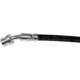 Purchase Top-Quality Brake Hydraulic Hose by DORMAN - H622264 pa3