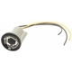 Purchase Top-Quality Brake Light Socket by ACDELCO PROFESSIONAL - LS244 pa15