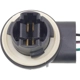 Purchase Top-Quality Brake Light Socket by BLUE STREAK (HYGRADE MOTOR) - S872 pa1