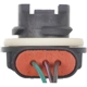 Purchase Top-Quality Brake Light Socket by BLUE STREAK (HYGRADE MOTOR) - S872 pa3