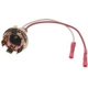 Purchase Top-Quality Brake Light Socket by BLUE STREAK (HYGRADE MOTOR) - HP4050 pa11