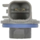 Purchase Top-Quality Brake Light Socket by BLUE STREAK (HYGRADE MOTOR) - S2290 pa3