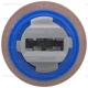 Purchase Top-Quality Brake Light Socket by BLUE STREAK (HYGRADE MOTOR) - S2390 pa2