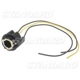 Purchase Top-Quality Douille feu de freinage par BLUE STREAK (HYGRADE MOTOR) - S65 pa10