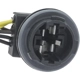 Purchase Top-Quality STANDARD - PRO SERIES - S2389 - Driver Side Multi Purpose Connector pa3