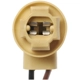 Purchase Top-Quality STANDARD - PRO SERIES - S95 - Back Up Light Socket pa3