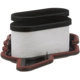 Purchase Top-Quality BLUE STREAK (HYGRADE MOTOR) - BF45 - Breather Element pa6