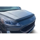 Purchase Top-Quality Bug Deflector by AUTO VENTSHADE - 20151 pa1