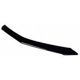 Purchase Top-Quality Bug Deflector by AUTO VENTSHADE - 320005 pa1