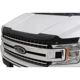 Purchase Top-Quality Bug Deflector by AUTO VENTSHADE - 320006 pa11