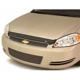 Purchase Top-Quality Bug Deflector by AUTO VENTSHADE - 320020 pa2