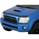 Purchase Top-Quality Bug Deflector by AUTO VENTSHADE - 322034 pa16