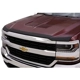 Purchase Top-Quality Bug Deflector by AUTO VENTSHADE - 322034 pa20