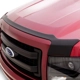 Purchase Top-Quality Bug Deflector by AUTO VENTSHADE - 377004 pa2