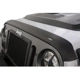 Purchase Top-Quality Bug Deflector by AUTO VENTSHADE - 377060 pa9