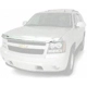 Purchase Top-Quality Bug Deflector by AUTO VENTSHADE - 680045 pa1