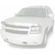 Purchase Top-Quality Bug Deflector by AUTO VENTSHADE - 680045 pa3