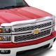 Purchase Top-Quality Bug Deflector by AUTO VENTSHADE - 680947 pa11
