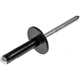 Purchase Top-Quality DORMAN/AUTOGRADE - 700-038 - Multi-Purpose Rivet pa1