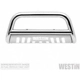 Purchase Top-Quality Bumper Guard by WESTIN - 31-6000 pa2