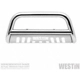 Purchase Top-Quality Bumper Guard by WESTIN - 31-6000 pa5