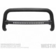 Purchase Top-Quality Bumper Guard by WESTIN - 32-31025T-L pa5