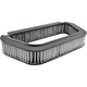 Purchase Top-Quality Cabin Air Filter by BALDWIN - PA10124 pa2