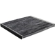 Purchase Top-Quality Cabin Air Filter by BALDWIN - PA10141 pa2