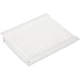 Purchase Top-Quality Cabin Air Filter by BTK - CF11810 pa1