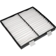 Purchase Top-Quality DORMAN - 259-000 - Cabin Air Filter pa1